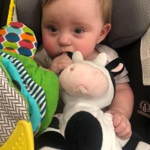 Meet your Posher, Jamie